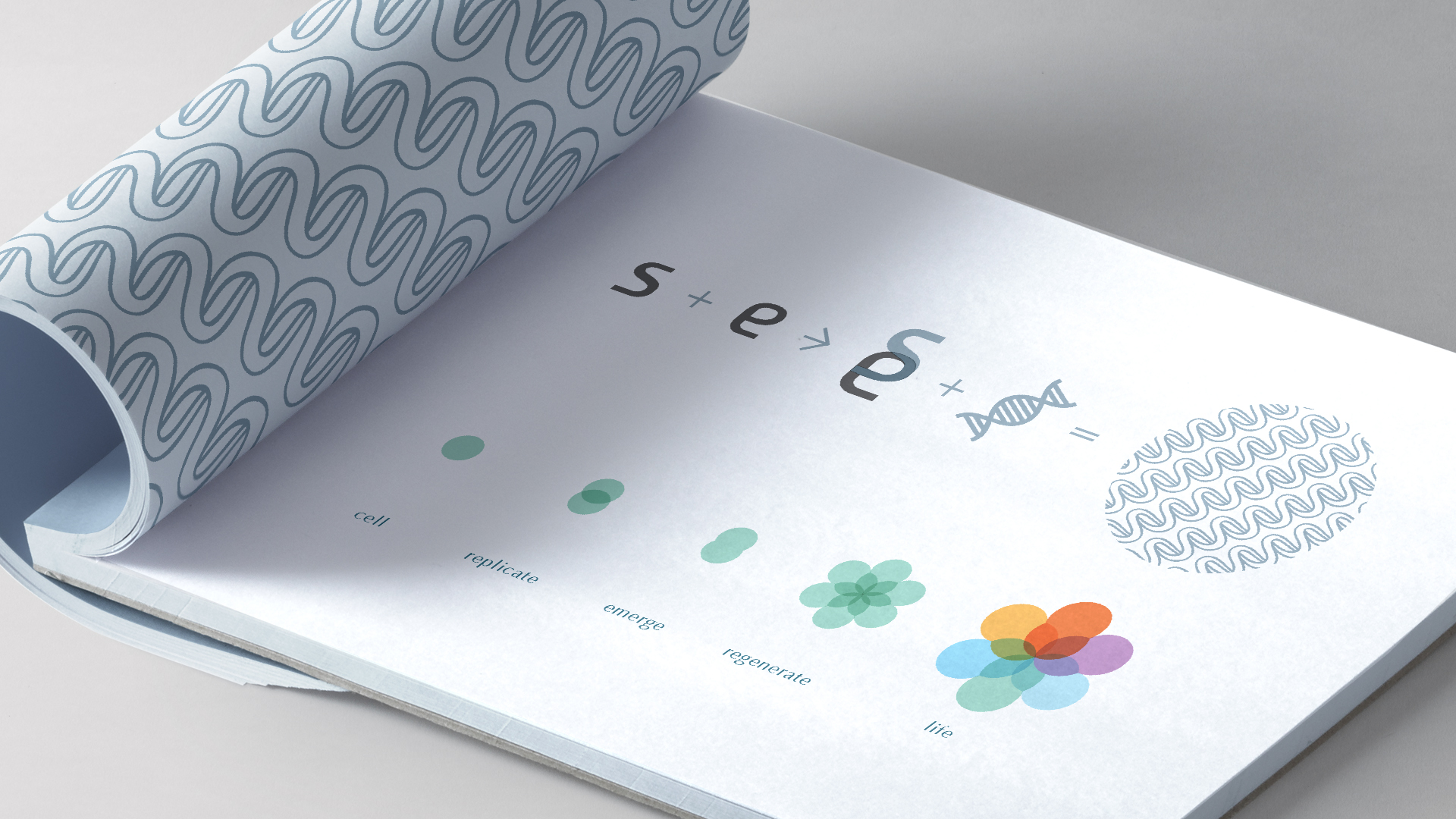 BRANDING 06_STEMERGY_02