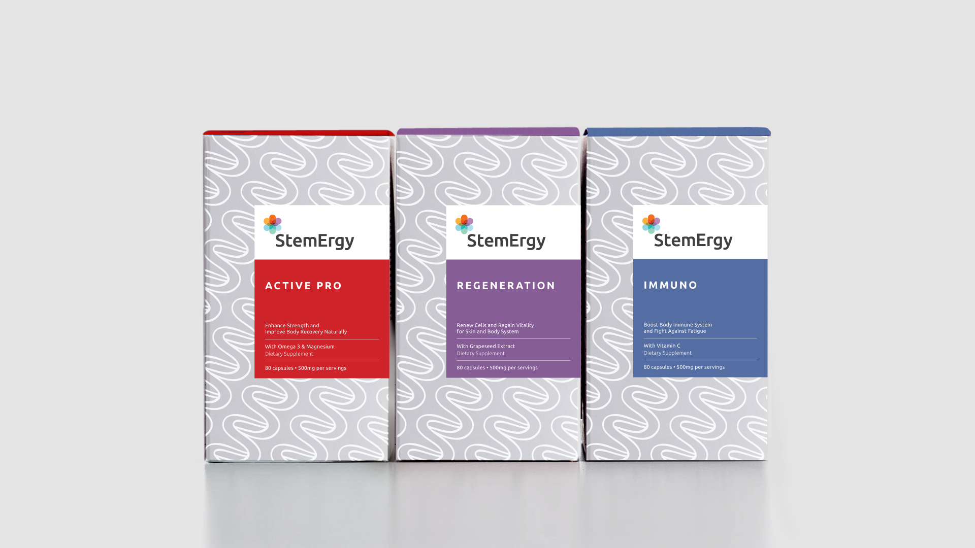 BRANDING 06_STEMERGY_03